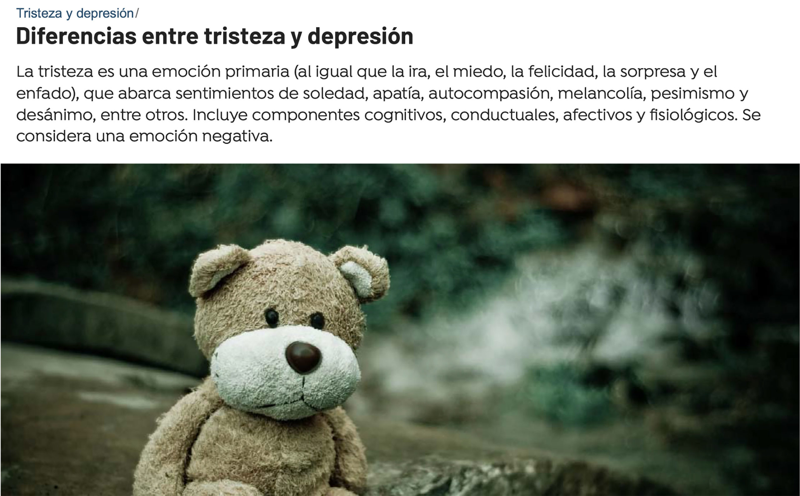 Diferencias Entre Tristeza Y Depresión