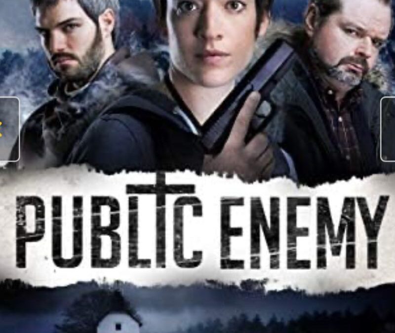 A propósito de la serie «Enemigo público» de Matthieu Frances y Gary Seghers