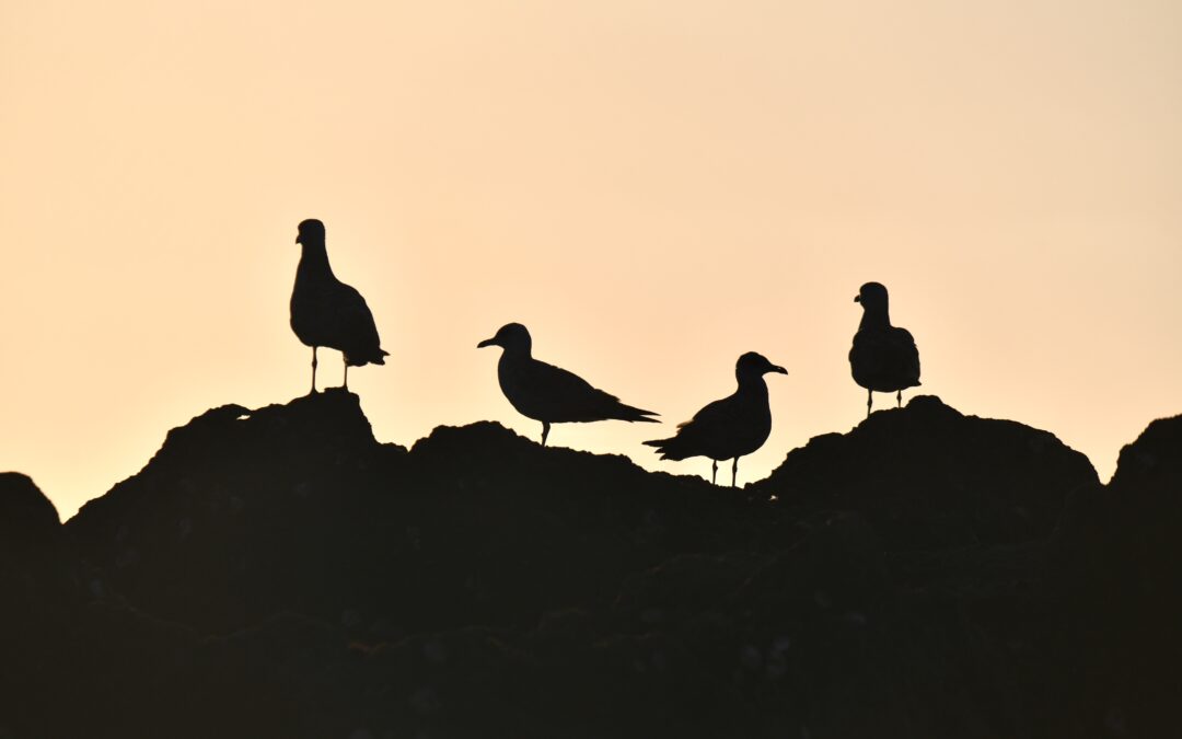 Entre padres solos y parejas independientes: la Navidad que estamos viviendo